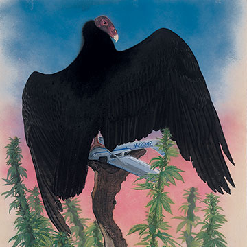 Davin Watne, Jamaican Vulture, 2006, Gouache and spray paint on paper 